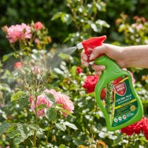 Artikel Protect Garden Lizetan Plus Blattlausfrei AF Insektizid 1L