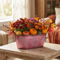 Artikel Schale mit Blattdekor, Pflanzgefäß, Herbstdeko, Metalltopf Weinrot L38cm H15cm