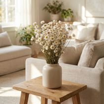 Artikel Trockenblumen Acroclinium Weiße Blüten Trockenfloristik 60cm 80g
