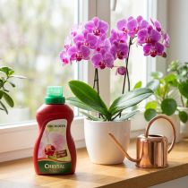 Artikel Chrysal Orchideendünger 500ml