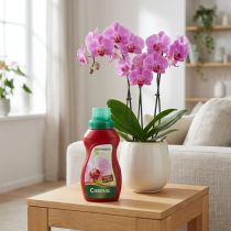 Artikel Chrysal Orchideendünger 250ml