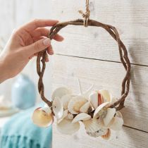 Artikel Maritimer Dekoring mit Meeresschnecken und Muscheln – Natürliches Weiß, Ø 25 cm – Perfekt für Küsteninspirierte Deko