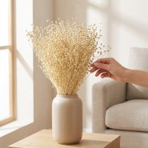 Artikel Trockengras Flachs getrocknet Natur gebleicht 50-55cm 180g