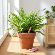 Artikel Chrysal Düngestäbchen für Kübelpflanzen Perfekte Nährstoffversorgung Grünpflanzen 20St