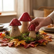 Artikel Deko Pilze Holzpilze Rot Glanz Herbstdeko H6/8/10cm 3er-Set