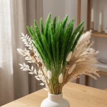 Artikel Grüne Borstenhirse Setaria viridis Trockengras 52cm 28g