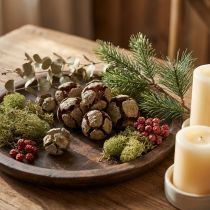 Artikel Zypressen Zapfen Natur 3cm 500g