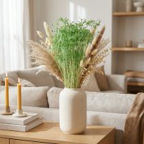 Artikel Trockenblumen Doldenblütler Umbellifera Grün 70-80cm 150g