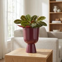 Artikel Blumentopf Pokal moderner Stil für jedes Zuhause und Büro dekorativ 23cm