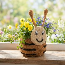 Artikel Übertopf Biene als dekorativer Pflanzkorb für verspielte Raumgestaltung Frühling und Sommer 24cm 2St