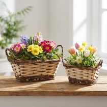 Artikel Pflanzgefäß Deko-Korb eckig Naturfarben 21×16/16×13cm 2er-Set
