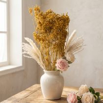 Artikel Trockenblumenstrauß Dill mit zarten Blüten für romantische Vintage-Dekoration 55cm