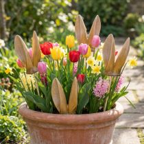 Artikel Hasenohren Gartenstecker Frühlingshafte Tierfigur für Gartendeko und Osterdeko 29cm 4St