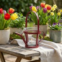 Artikel Windlicht Glas Deko Gießkanne Metall Rot Ø14cm H13cm