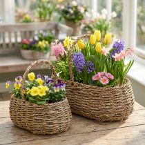 Artikel Pflanzkorb mit Henkel Korb Blumenkorb L23/35cm 2er-Set