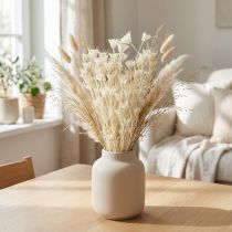 Artikel Nigella Orientalis Trockenblumen Schwarzkümmel Weiß 50cm 100g