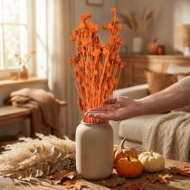 Artikel Trockenblumen Trockendistel Erdbeerdistel Orange 100g