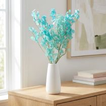Artikel Silberblatt getrocknet Mondviole Lunaria Hellblau 65-70cm 20g