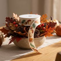 Artikel Dekoband mit Pilzen und Herbstlaub Motiv 25mm 18m