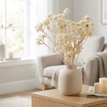 Artikel Trockenblume Distel Zweig Gebleicht 80g