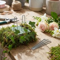 Artikel Efeunadeln 80mm Verzinkt Gestecknadeln für Floristen 400g