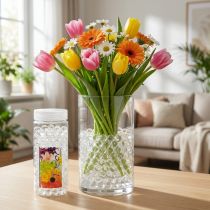 Artikel Aqualinos Aquaperlen Deko Wasserperlen für Pflanzen Transparent 15–18mm 500ml