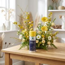 Artikel OASIS® Easy Colour Spray, Lack-Spray Gelb 400ml