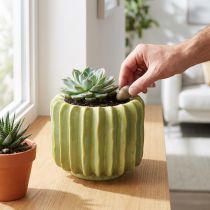 Artikel Kaktus Blumentopf Ideale Schale für exotische Wohnakzente 16cm