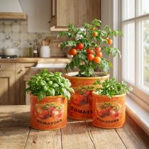 Artikel Tomaten Pflanztopf Set Keramik Dekorative Blumentöpfe für Küche und Retro Deko 14cm 3er-Set