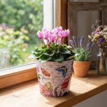 Artikel Übertopf Blumenmuster Blumentopf Kunststoff Ø15,5×H13cm