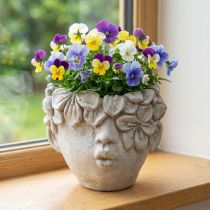 Artikel Pflanzkopf Blumentopf Beton Optik Mädchenkopf H13,5cm