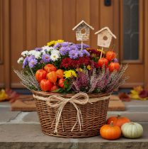 Artikel Deko-Vogelhaus Birke 5cm Blumenstecker 4St