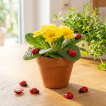 Artikel Deko-Marienkäfer zum Kleben 2,5cm Rot 72 St