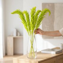 Artikel Fuchsschwanz Trockenblumen gefärbt für besondere Wohnraum Deko und einzigartige Akzente 100cm 5St