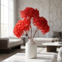 Artikel Deko Hortensie konserviert getrocknete Blume für elegante Raumgestaltung