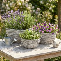 Artikel Pflanzkorb Weidenkorb Set Weißgrau Shabby Chic Dekoration 3er