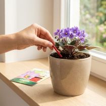 Artikel Chrysal Blühpflanzen Düngestäbchen Langzeitdünger 40St
