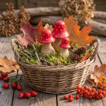 Artikel Fliegenpilz Deko Pilze Holzpilze Herbstdeko H6/8/10cm 3er-Set