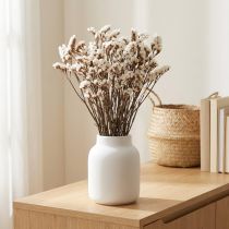 Artikel Strandflieder Weiß Limonium Trockenblumen 60cm 35g