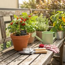 Artikel Gartenwerkzeug-Set mit Edelstahl Handharke, Handschaufel und Beetsteckern, Geschenkidee für Gartenliebhaber
