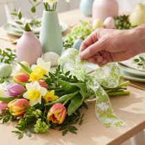 Artikel Deko Band mit Schmetterlingen 25mm Grün Organzaband Geschenkband 20m