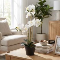 Artikel Künstliche Orchidee im Topf für ein harmonisches Ambiente weiß 60cm