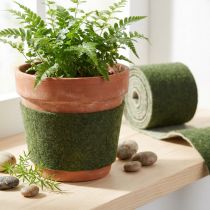 Artikel Filzband Franzi Topfband Wolle Wollfilz Dunkelgrün 15cm 4m