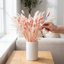 Artikel Phalaris Rosa Glanzgras getrocknet Trockendeko 65cm 60g