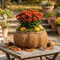 Artikel Pflanzkorb Kürbis Herbstdeko Orange Ø22cm H17cm