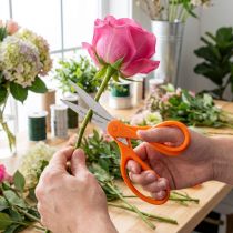 Artikel Blumenschere mit Zähnen aus Edelstahl in Orange 20cm