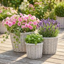 Artikel Großer Pflanzkorb mit Folie Weißgrau Ø43/34/28cm 3er-Set