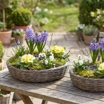 Artikel Pflanzringe Holz Rattan Natur Grau Ø40/45cm Set 2St