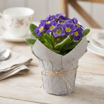 Artikel Übertopf Papier gepunktet Geschenkverpackung Blumen Ø7cm H14cm 12 St
