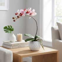 Artikel Orchidee Rosa im Keramiktopf 31cm